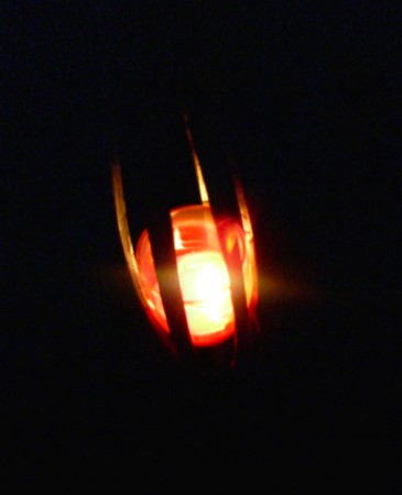 SN340022-1.jpg
